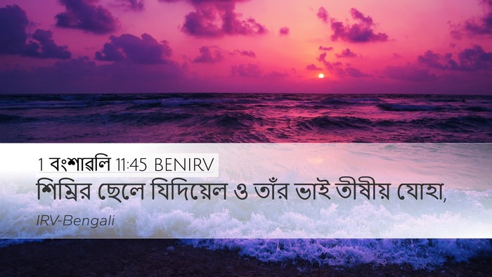 1 বংশাৱলি 11:45 BENIRV Desktop Wallpaper - শিম্রির ছেলে - Desktop Bible Verse Wallpaper
