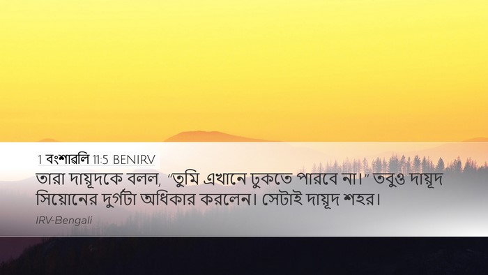 1 বংশাৱলি 11:5 BENIRV Bible Verse Image