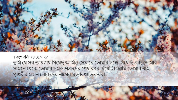 1 বংশাৱলি 17:8 BENIRV Bible Verse Image