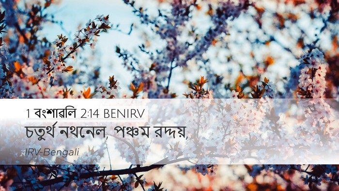 1 বংশাৱলি 2:14 BENIRV Desktop Wallpaper - চতুর্থ নথনেল, - Desktop Bible Verse Wallpaper