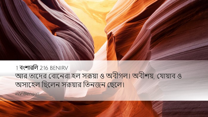 1 বংশাৱলি 2:16 BENIRV Bible Verse Image