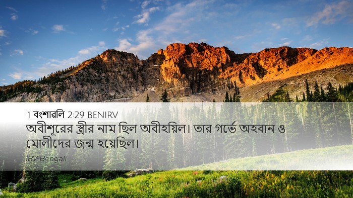 1 বংশাৱলি 2:29 BENIRV Desktop Wallpaper - অবীশূরের স্ত্রীর - Desktop Bible Verse Wallpaper