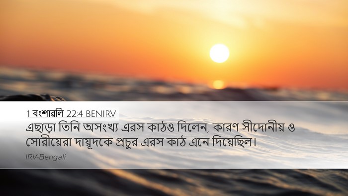 1 বংশাৱলি 22:4 BENIRV Bible Verse Image
