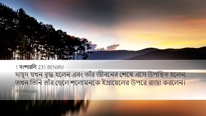 1 বংশাৱলি 23:1 BENIRV Bible Verse Image