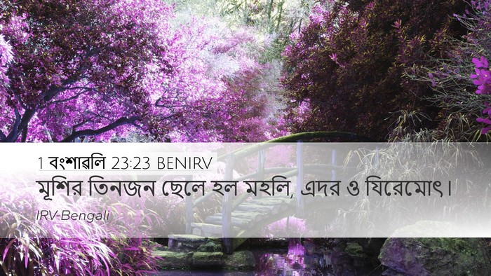 1 বংশাৱলি 23:23 BENIRV Bible Verse Image