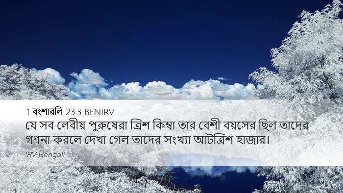 1 বংশাৱলি 23:3 BENIRV Bible Verse Image
