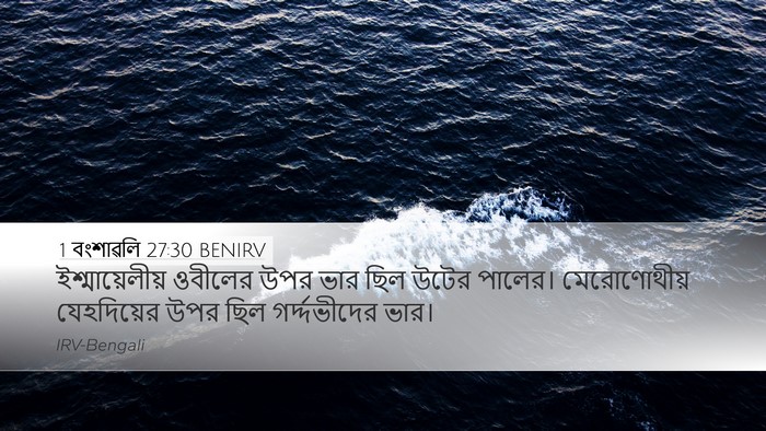 1 বংশাৱলি 27:30 BENIRV Desktop Wallpaper - ইশ্মায়েলীয় - Desktop Bible Verse Wallpaper