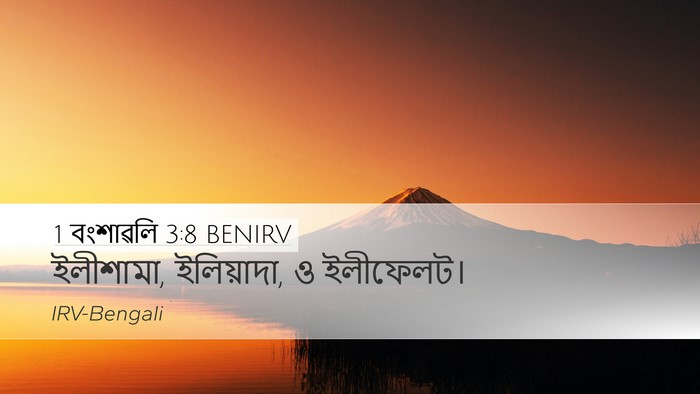 1 বংশাৱলি 3:8 BENIRV Bible Verse Image