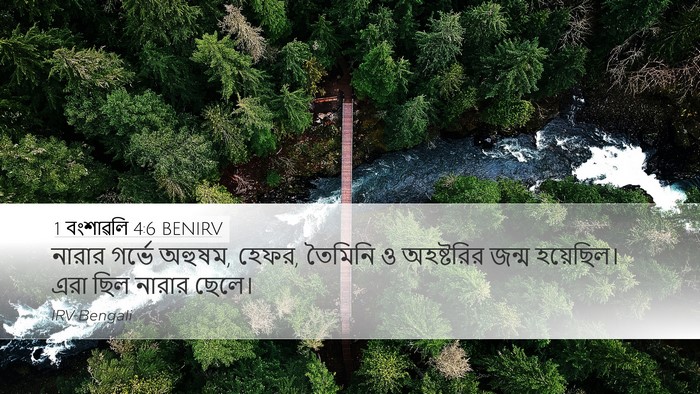 1 বংশাৱলি 4:6 BENIRV Desktop Wallpaper - নারার গর্ভে অহুষম, - Desktop Bible Verse Wallpaper