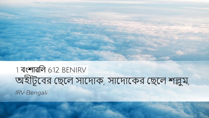 1 বংশাৱলি 6:12 BENIRV Desktop Wallpaper - অহীটূবের ছেলে - Desktop Bible Verse Wallpaper