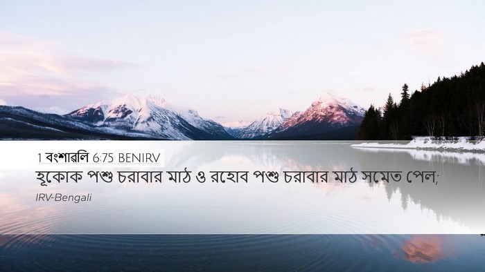 1 বংশাৱলি 6:75 BENIRV Bible Verse Image