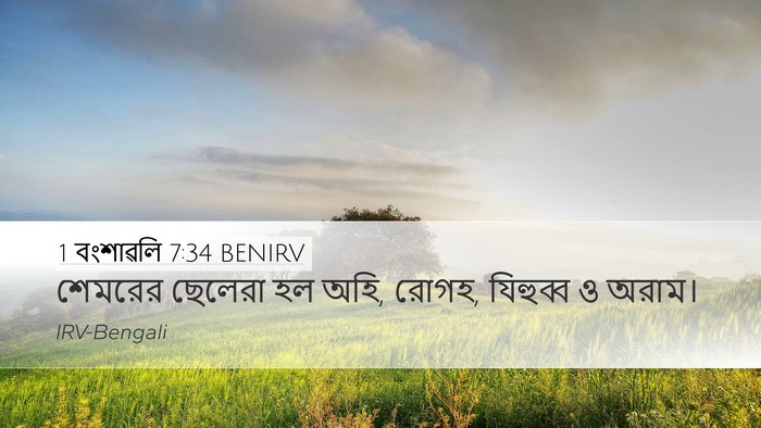 1 বংশাৱলি 7:34 BENIRV Desktop Wallpaper - শেমরের ছেলেরা হল - Desktop Bible Verse Wallpaper
