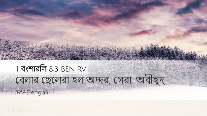 1 বংশাৱলি 8:3 BENIRV Bible Verse Image