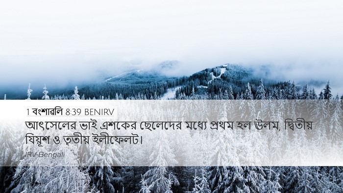 1 বংশাৱলি 8:39 BENIRV Desktop Wallpaper - আৎসেলের ভাই এশকের - Desktop Bible Verse Wallpaper