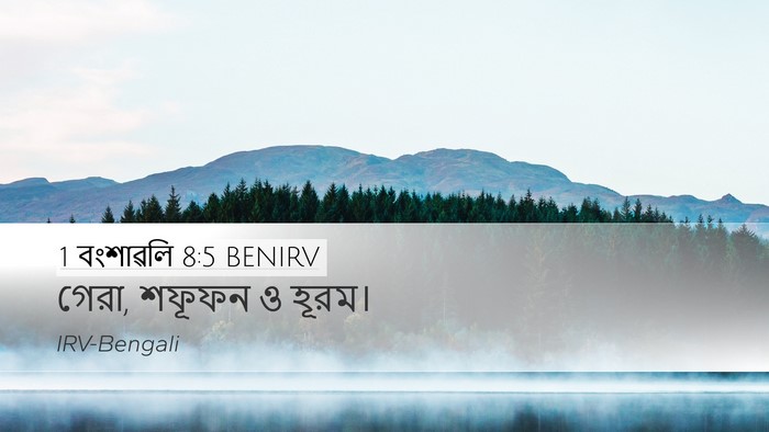1 বংশাৱলি 8:5 BENIRV Desktop Wallpaper - গেরা, শফূফন ও - Desktop Bible Verse Wallpaper