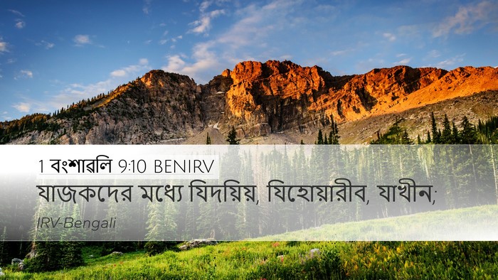 1 বংশাৱলি 9:10 BENIRV Bible Verse Image
