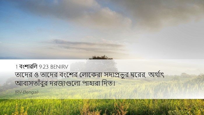1 বংশাৱলি 9:23 BENIRV Bible Verse Image