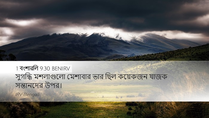 1 বংশাৱলি 9:30 BENIRV Desktop Wallpaper - সুগন্ধি মশলাগুলো - Desktop Bible Verse Wallpaper