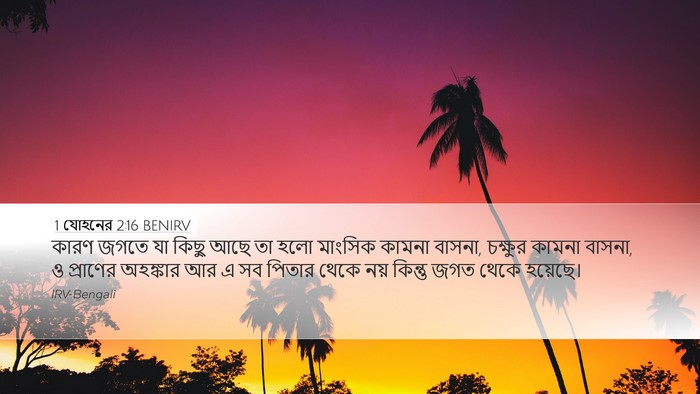 1 যোহনের 2:16 BENIRV Bible Verse Image