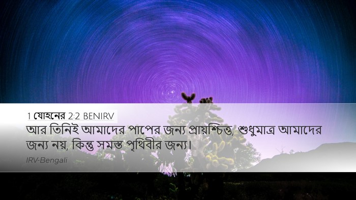1 যোহনের 2:2 BENIRV Bible Verse Image