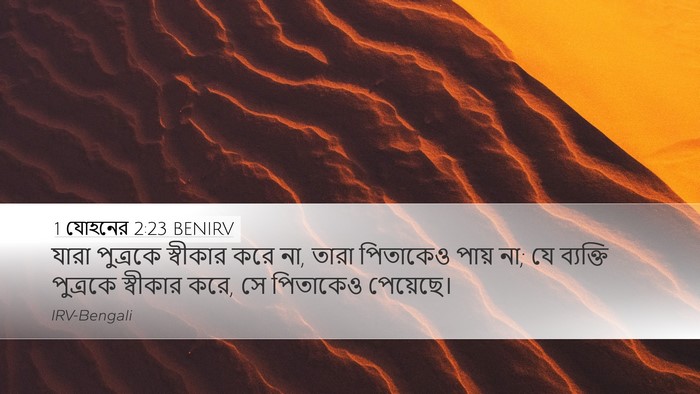 1 যোহনের 2:23 BENIRV Bible Verse Image