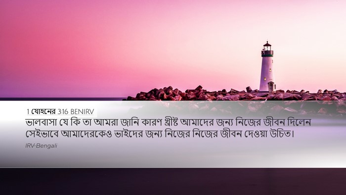 1 যোহনের 3:16 BENIRV Bible Verse Image
