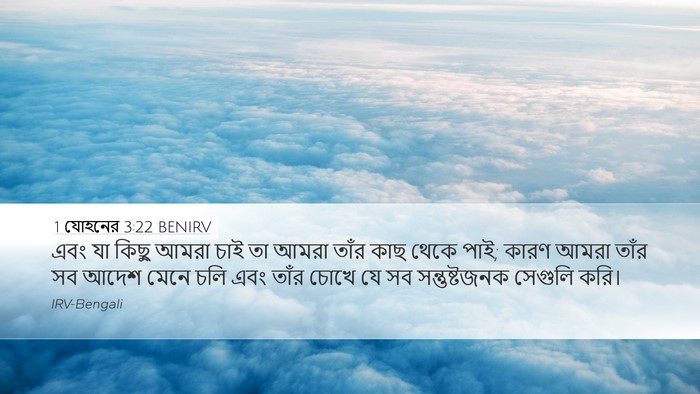 1 যোহনের 3:22 BENIRV Bible Verse Image