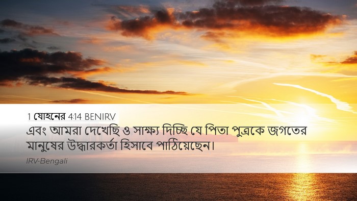 1 যোহনের 4:14 BENIRV Bible Verse Image