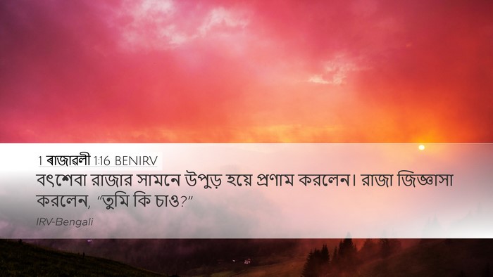1 ৰাজাৱলী 1:16 BENIRV Desktop Wallpaper - বৎশেবা রাজার - Desktop Bible Verse Wallpaper
