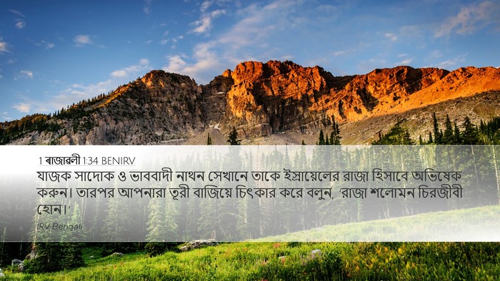 1 ৰাজাৱলী 1:34 BENIRV Bible Verse Image