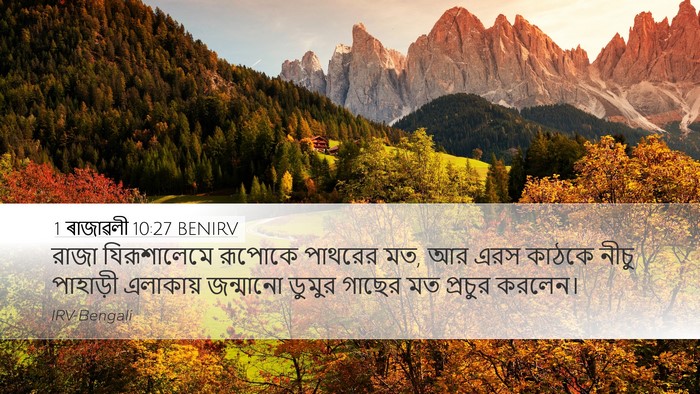 1 ৰাজাৱলী 10:27 BENIRV Bible Verse Image