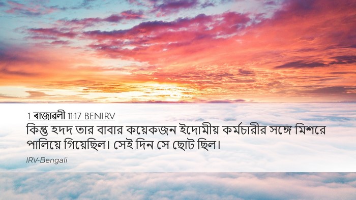 1 ৰাজাৱলী 11:17 BENIRV Desktop Wallpaper - কিন্তু হদদ তার - Desktop Bible Verse Wallpaper