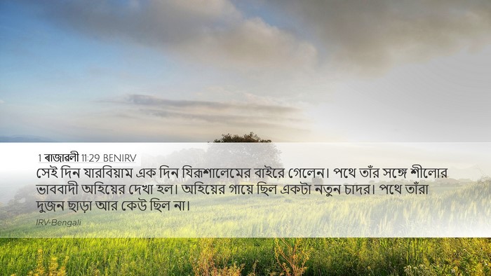 1 ৰাজাৱলী 11:29 BENIRV Bible Verse Image