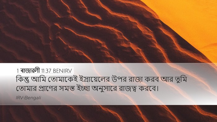 1 ৰাজাৱলী 11:37 BENIRV Desktop Wallpaper - কিন্তু আমি - Desktop Bible Verse Wallpaper