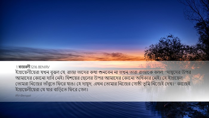 1 ৰাজাৱলী 12:16 BENIRV Bible Verse Image