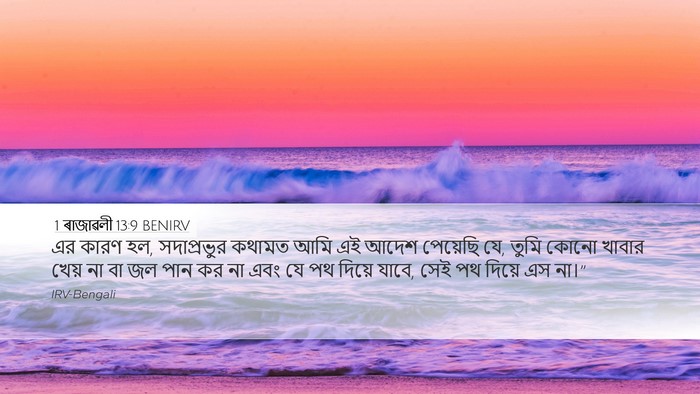 1 ৰাজাৱলী 13:9 BENIRV Bible Verse Image