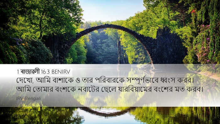 1 ৰাজাৱলী 16:3 BENIRV Bible Verse Image
