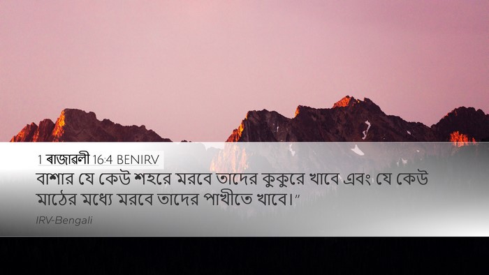 1 ৰাজাৱলী 16:4 BENIRV Desktop Wallpaper - বাশার যে কেউ শহরে - Desktop Bible Verse Wallpaper