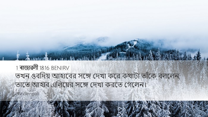 1 ৰাজাৱলী 18:16 BENIRV Desktop Wallpaper - তখন ওবদিয় আহাবের - Desktop Bible Verse Wallpaper