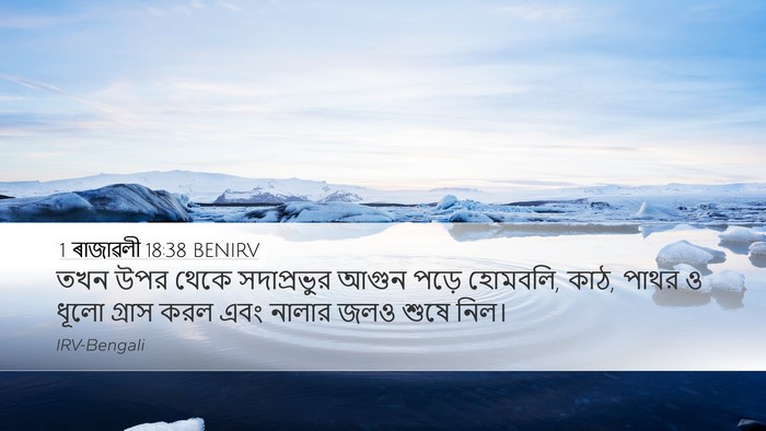 1 ৰাজাৱলী 18:38 BENIRV Desktop Wallpaper - তখন উপর থেকে - Desktop Bible Verse Wallpaper