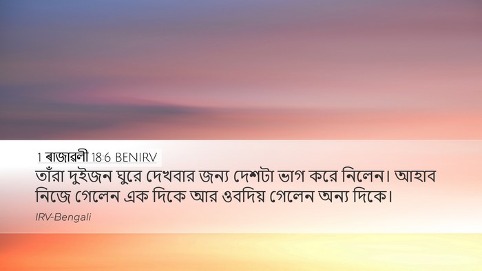 1 ৰাজাৱলী 18:6 BENIRV Desktop Wallpaper - তাঁরা দুইজন ঘুরে - Desktop Bible Verse Wallpaper
