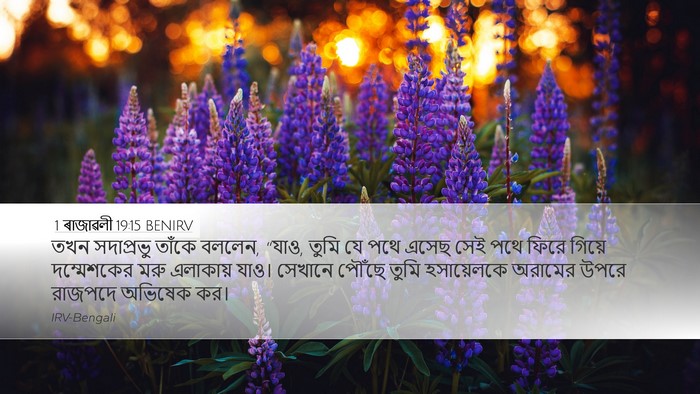 1 ৰাজাৱলী 19:15 BENIRV Bible Verse Image