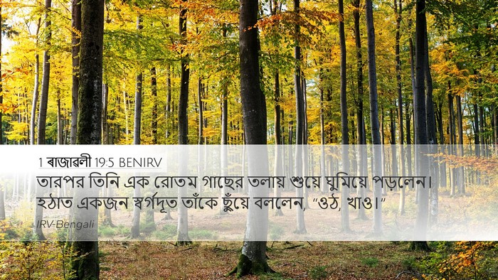 1 ৰাজাৱলী 19:5 BENIRV Bible Verse Image