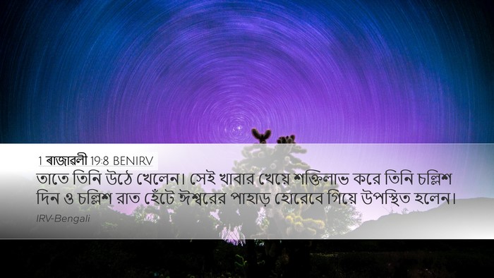 1 ৰাজাৱলী 19:8 BENIRV Bible Verse Image