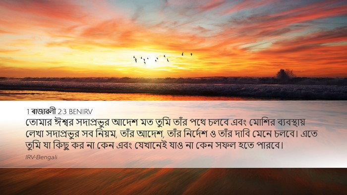 1 ৰাজাৱলী 2:3 BENIRV Bible Verse Image