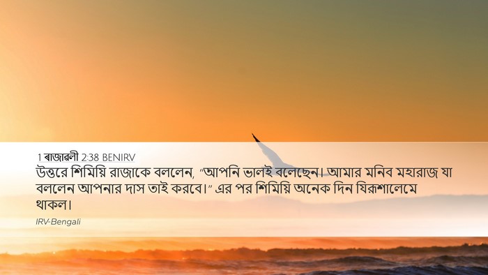 1 ৰাজাৱলী 2:38 BENIRV Desktop Wallpaper - উত্তরে শিমিয়ি - Desktop Bible Verse Wallpaper
