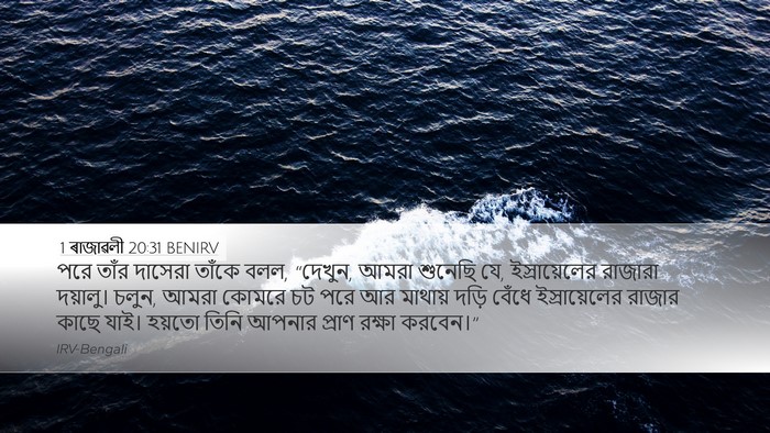 1 ৰাজাৱলী 20:31 BENIRV Bible Verse Image