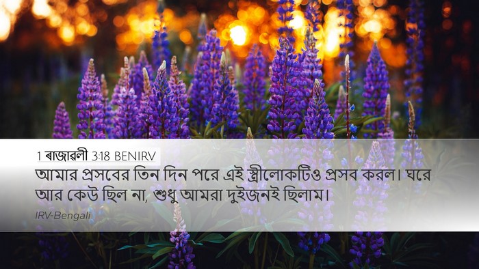 1 ৰাজাৱলী 3:18 BENIRV Desktop Wallpaper - আমার প্রসবের তিন - Desktop Bible Verse Wallpaper