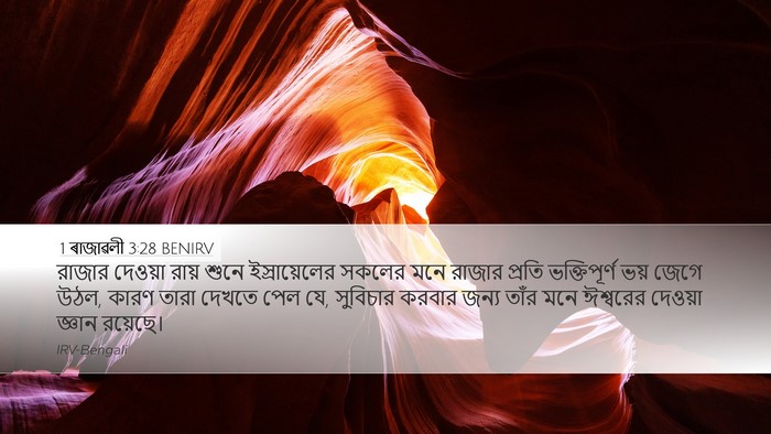 1 ৰাজাৱলী 3:28 BENIRV Bible Verse Image