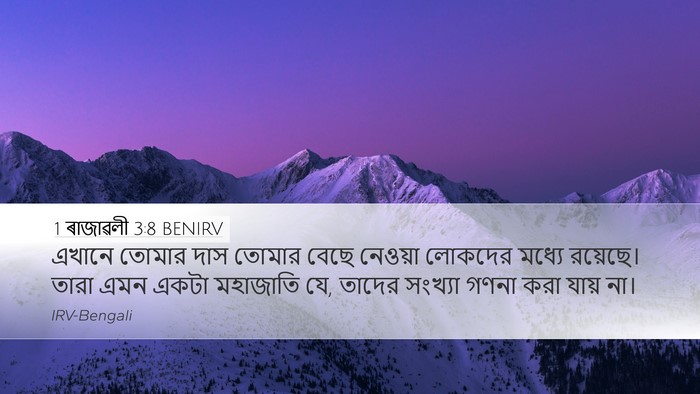 1 ৰাজাৱলী 3:8 BENIRV Desktop Wallpaper - এখানে তোমার দাস - Desktop Bible Verse Wallpaper
